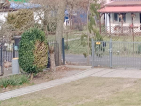 Dom na kurzej Łapce in Pobierowo